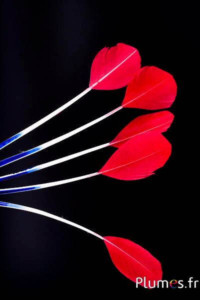 Panicule cigno seta - 25-30 cm - blu-bianco-rosso